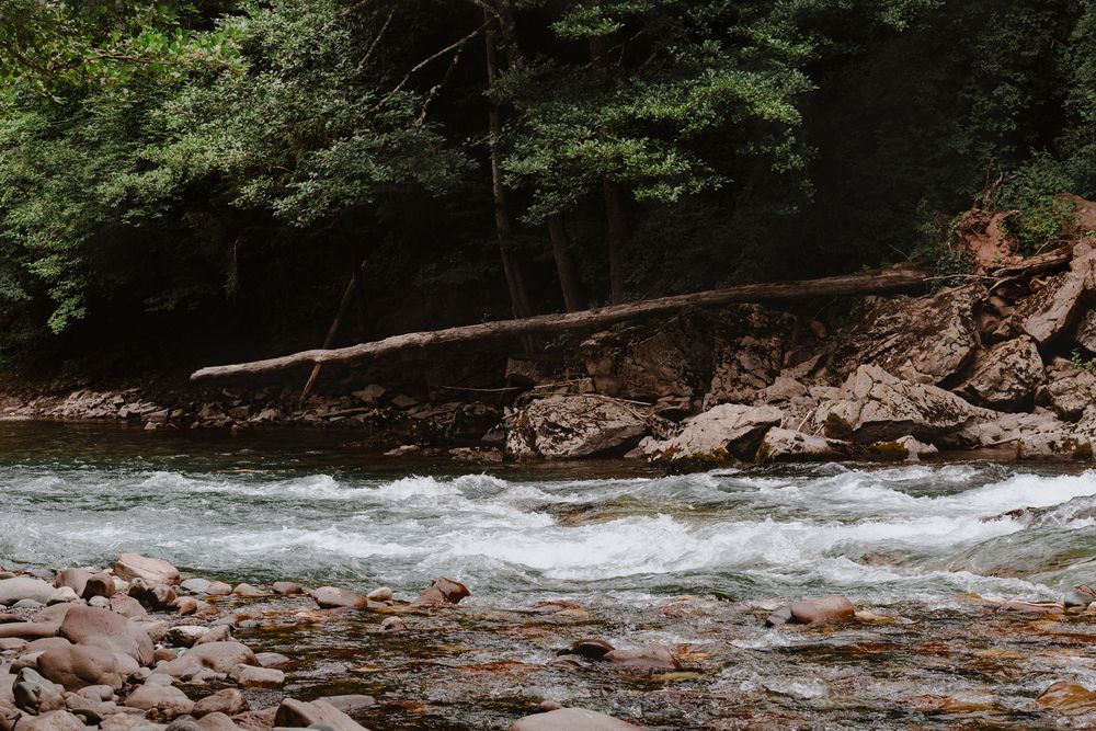 Фотография автора Валентина Комлева
