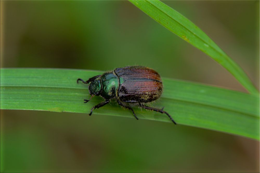 Photograph by Гаврилов Николай