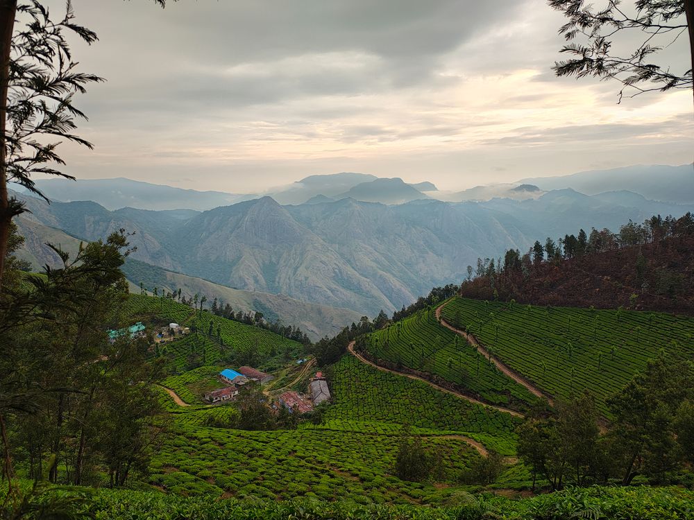 Photograph by Mahendra S Nair