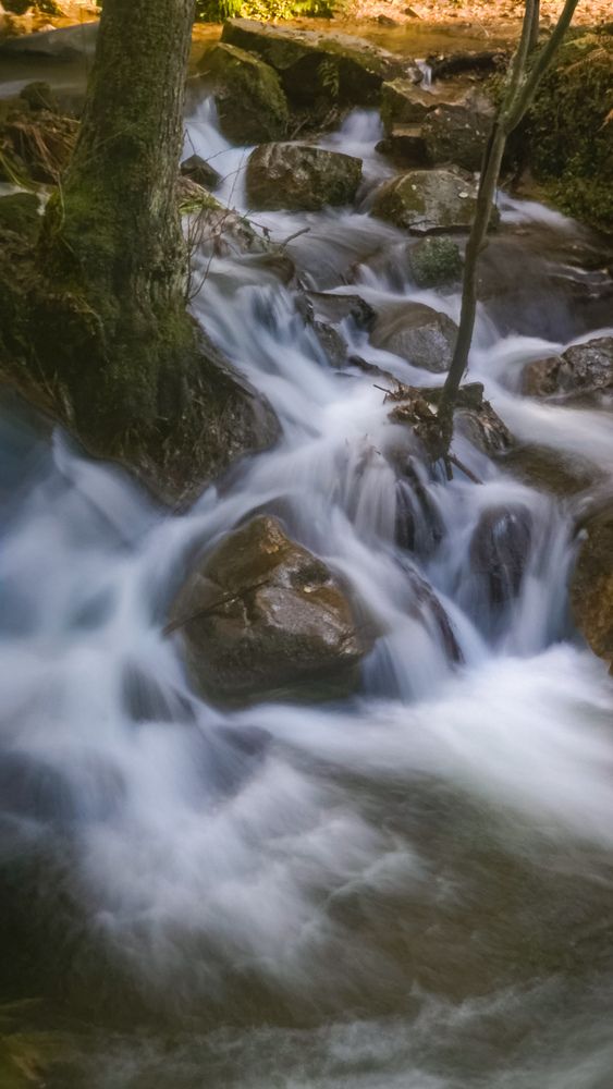 Фотография автора esti lahat