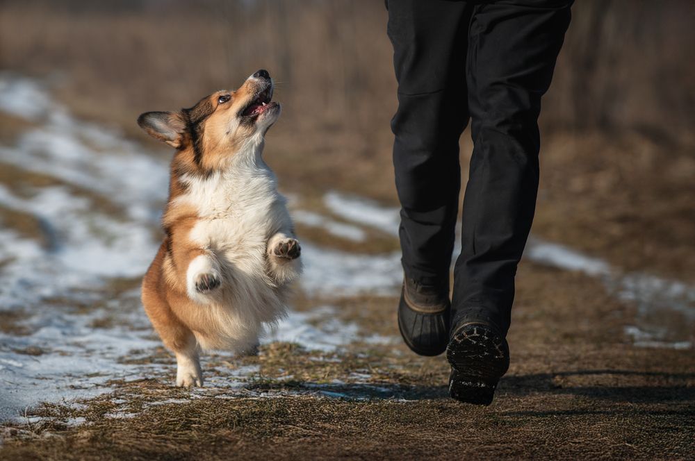 Photograph by Анна Орлова
