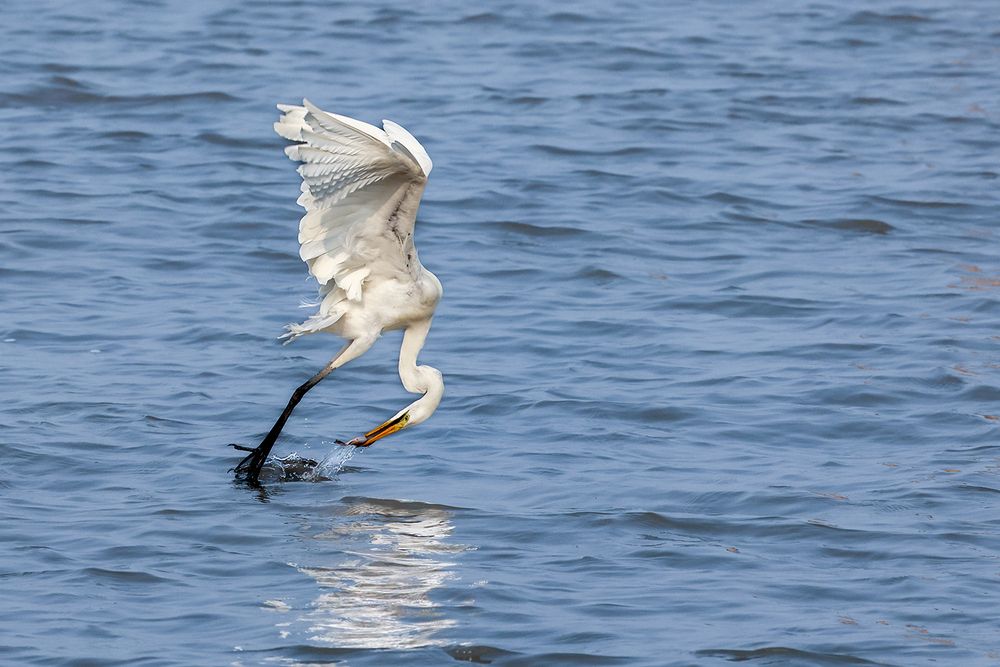 Photograph by Dhananjay Thakur