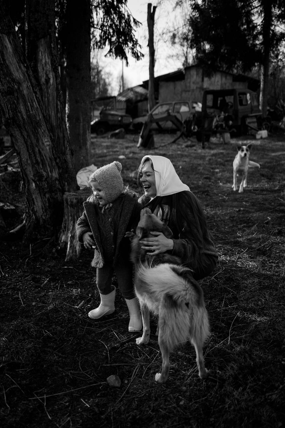 Photo #13233180