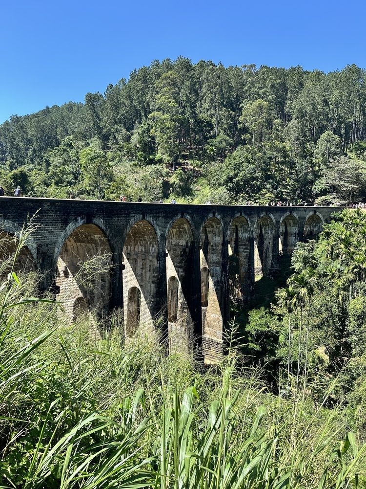Фотография автора Марина Суздаль
