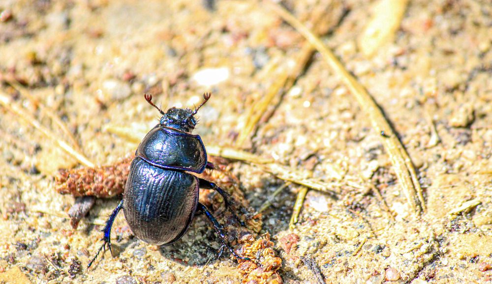 Photograph by Ineta Osipoviča