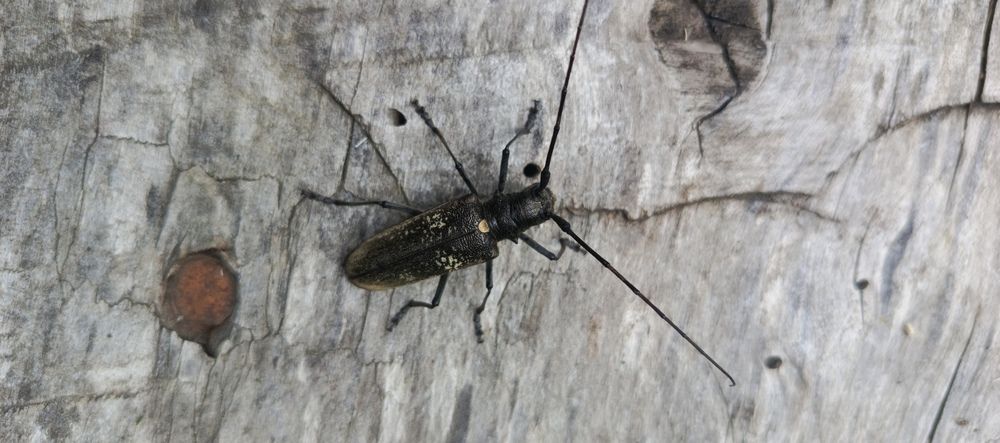 Photograph by Ольга Петрова