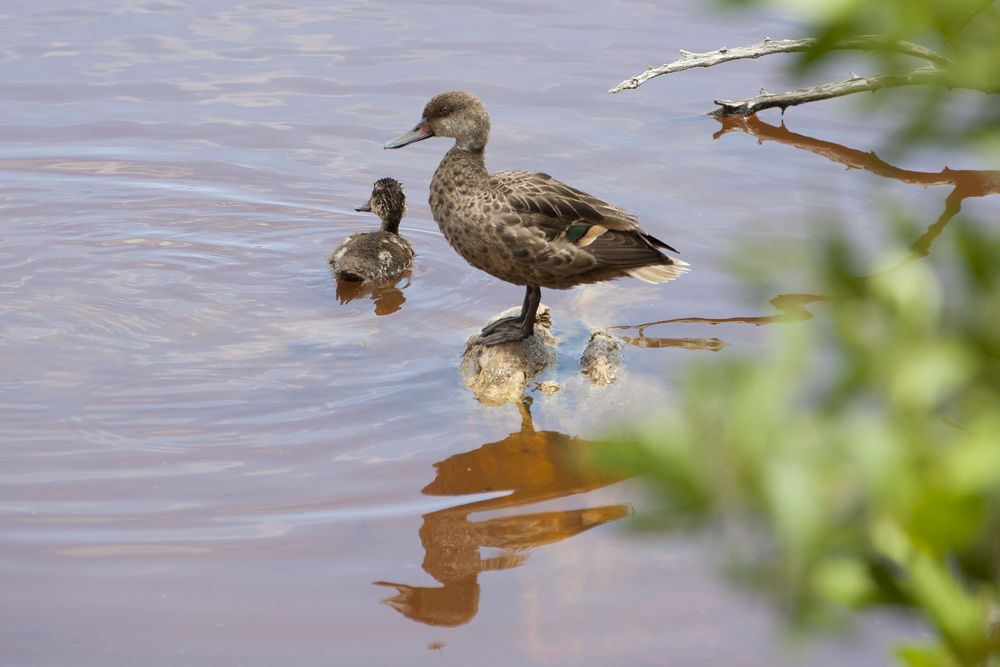 Photograph by Александр Журавлев