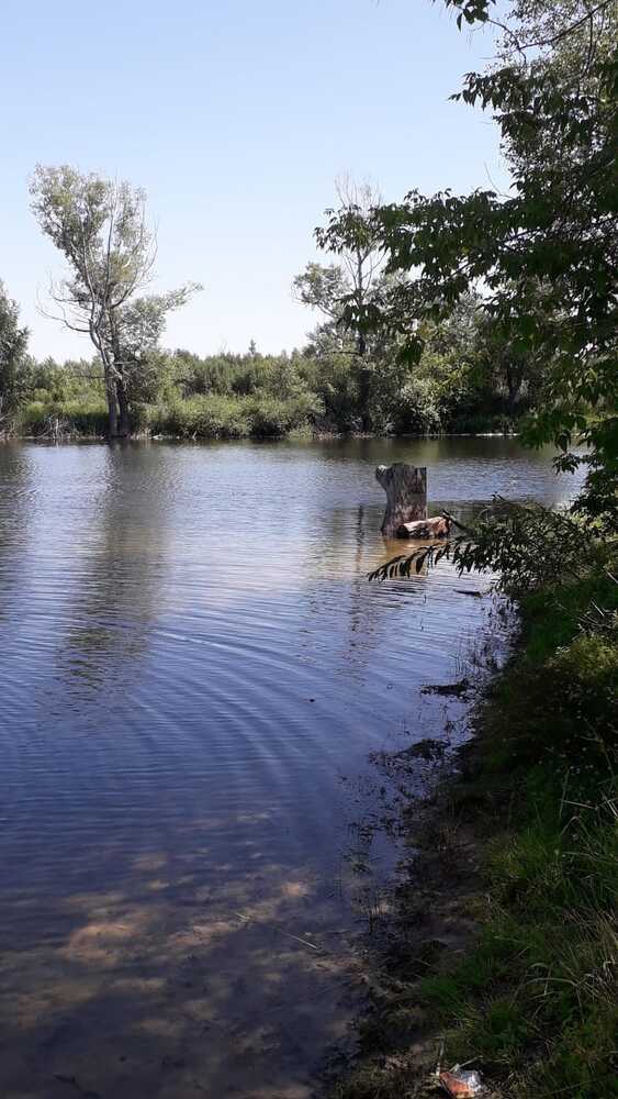 Фотография автора Елена Колышева