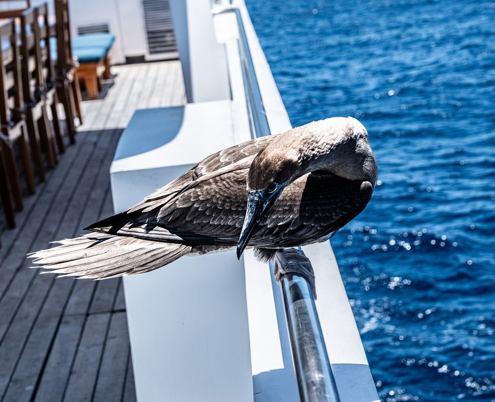 Photograph by Дмитрий Плотников