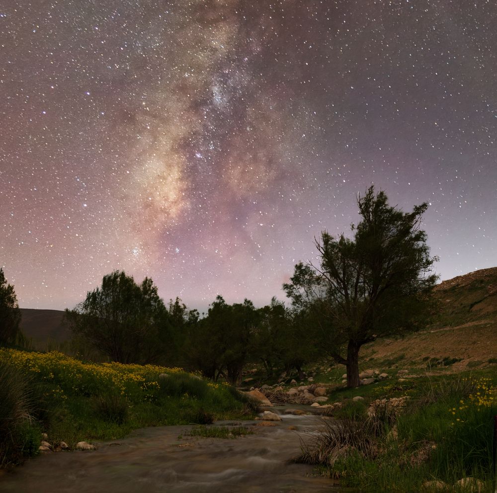 Фотография автора Hamid espanani