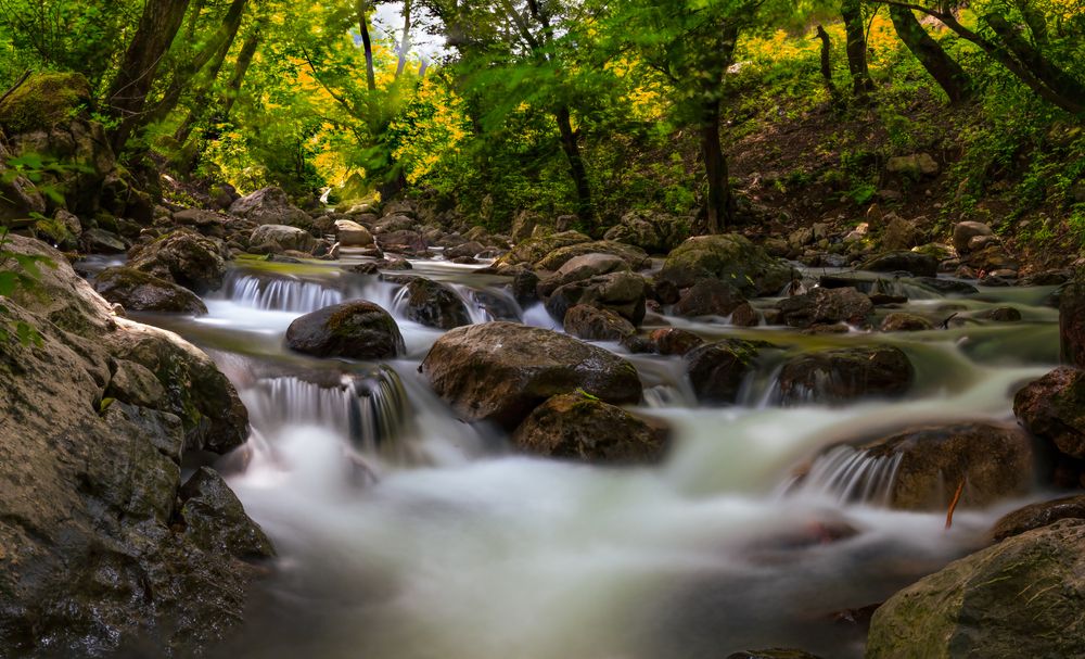 Фотография автора Hamid espanani