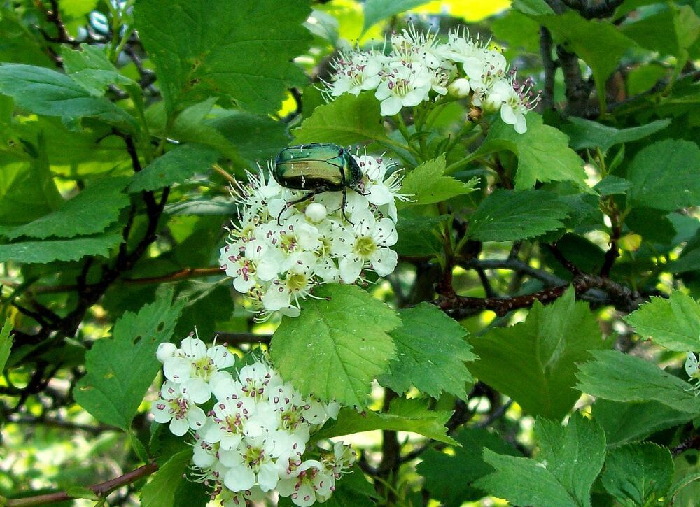 Photograph by Мигун Александра