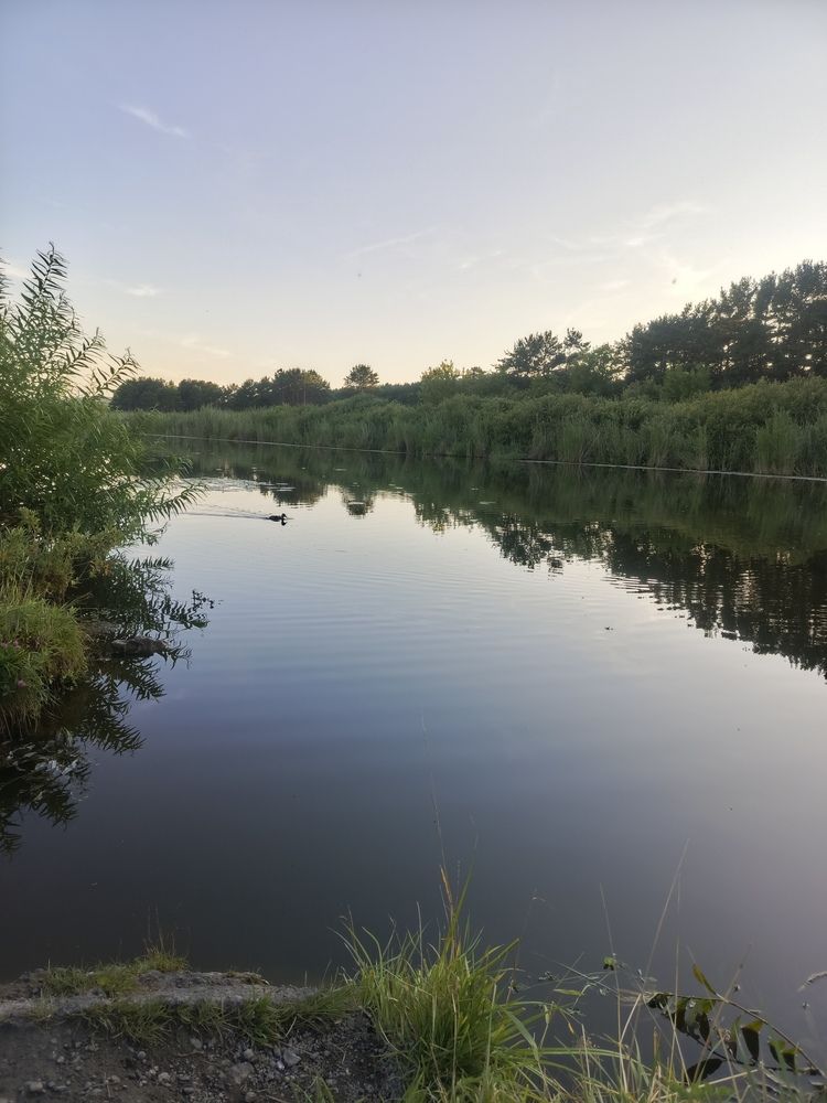 Photograph by Ольга Петрова