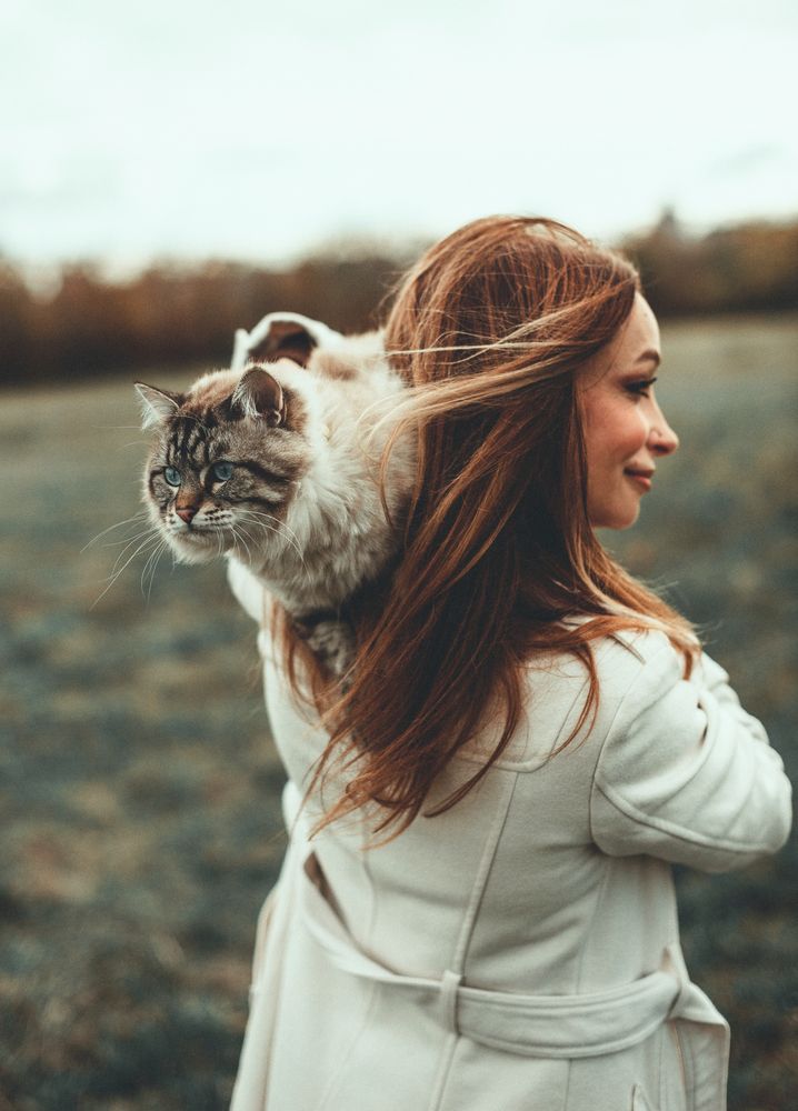 Photograph by Александр Григорьев