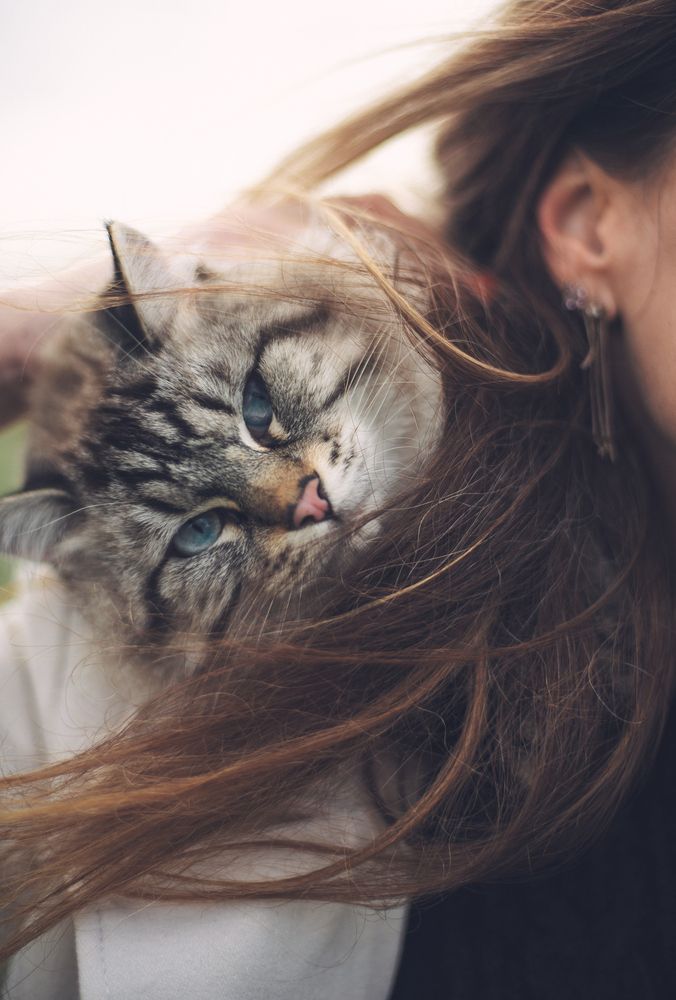 Photograph by Александр Григорьев