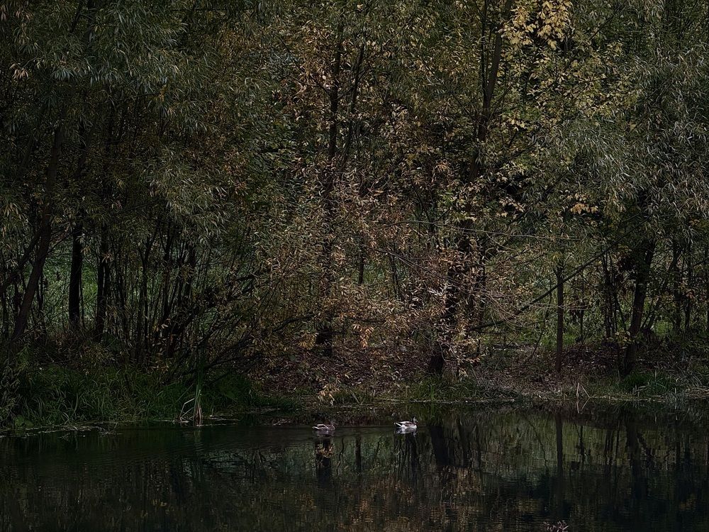 Photograph by Oli Lukashova
