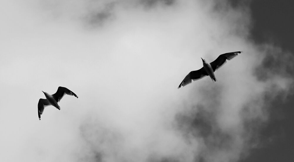 Photograph by Евгения Нестеренко