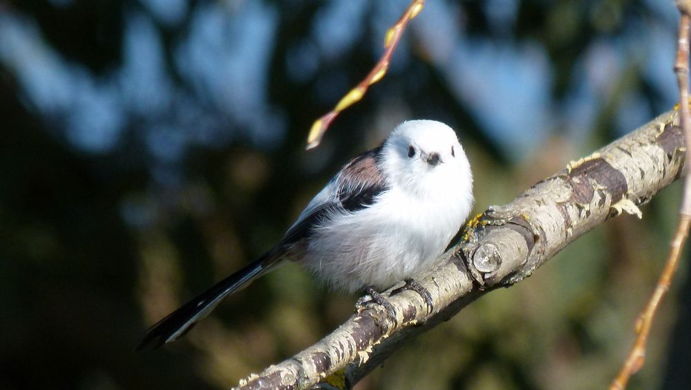 Photograph by Егор Чинарев