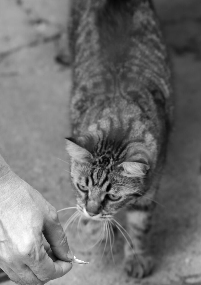 Photograph by Евгения Нестеренко