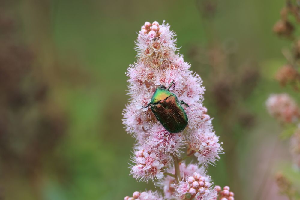 Photograph by Анна Чадова