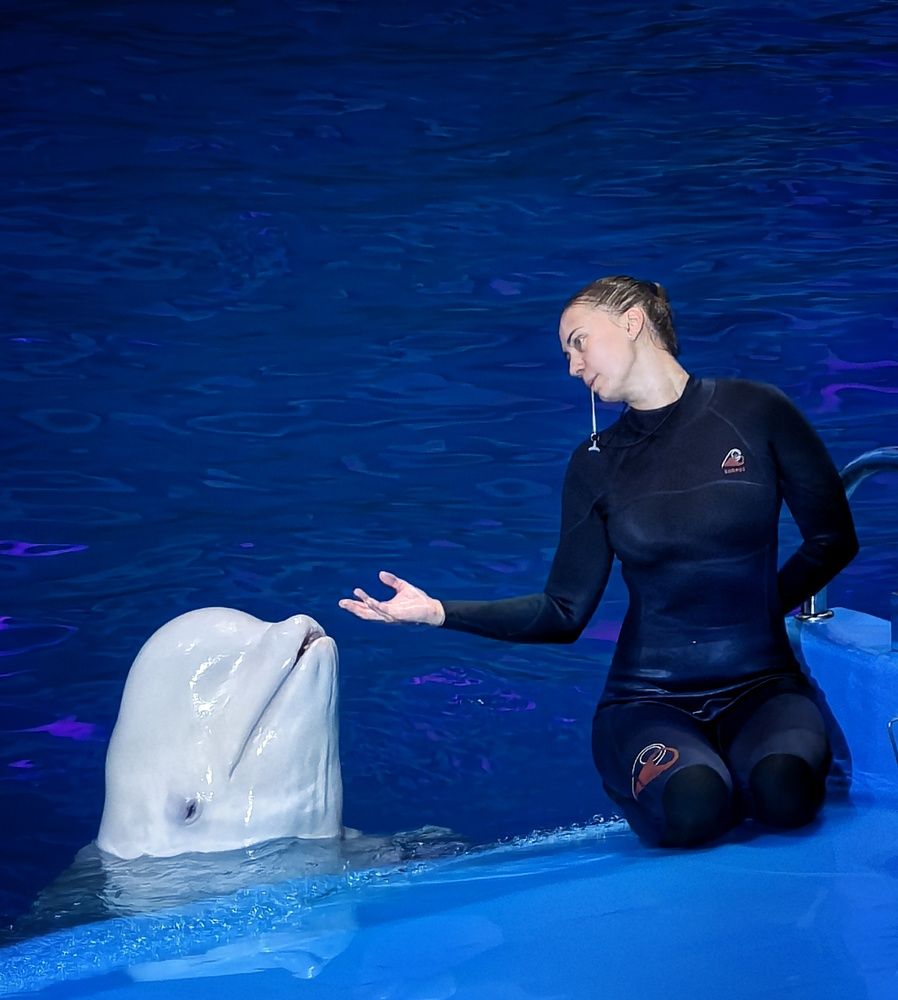 Photograph by Кривенко Владимир