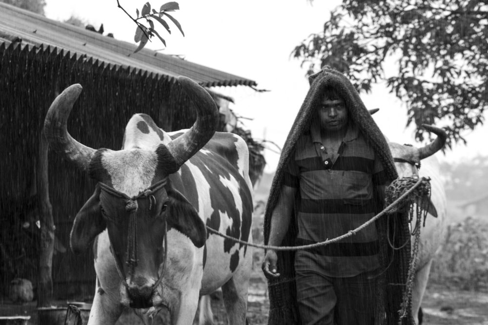 Photograph by vijay parmar