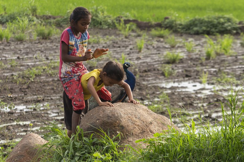 Photograph by vijay parmar