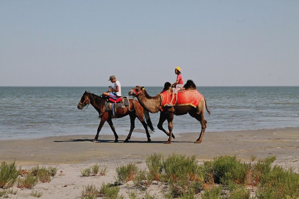 Photograph by Людмила Жданова