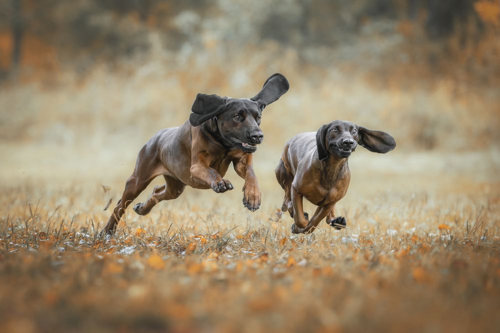 Photograph by Зубкова Юлия