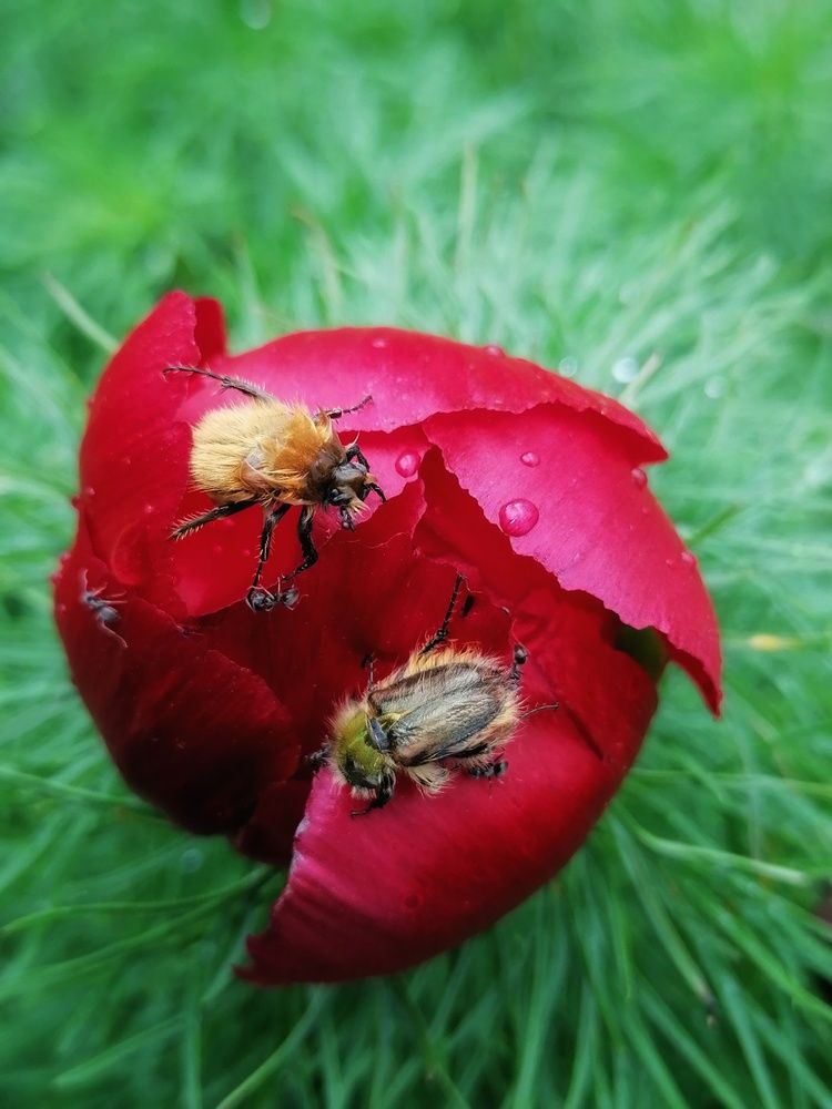Photograph by Анжелика