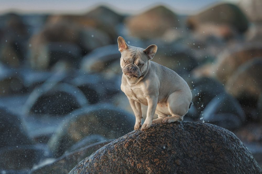 Photograph by Зубкова Юлия