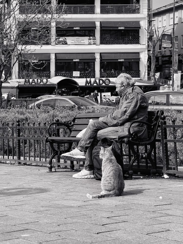 Photograph by Алена Кривцова