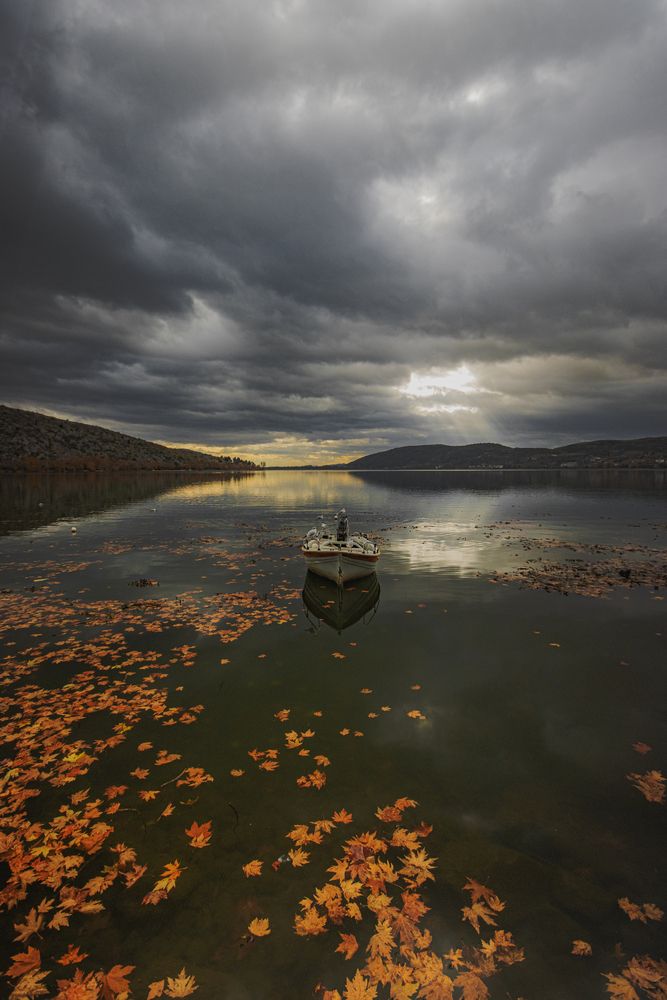 Photograph by dimitris anifantis