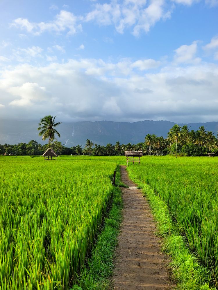 Beauty of kerala