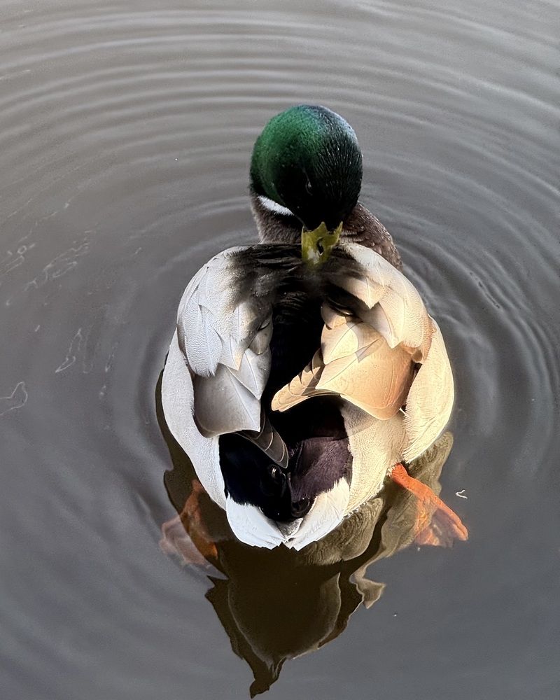 Photograph by Лидия Готовец