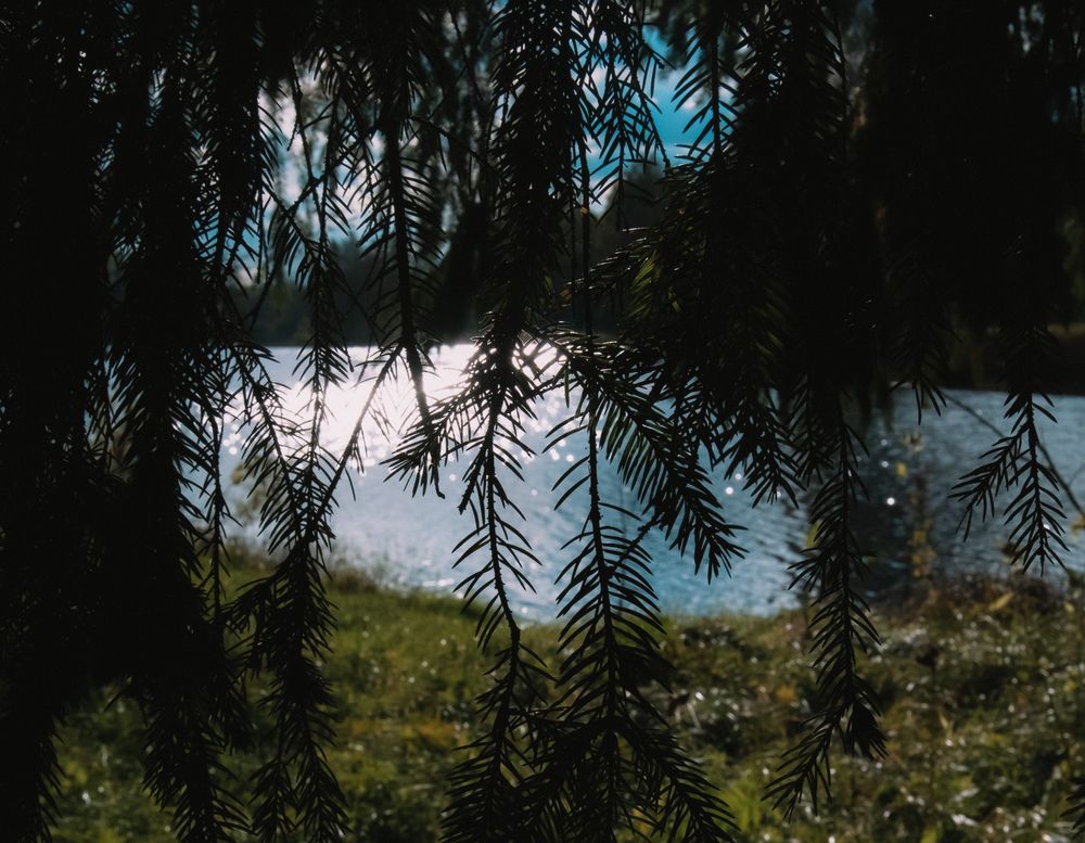 Photo #13233730