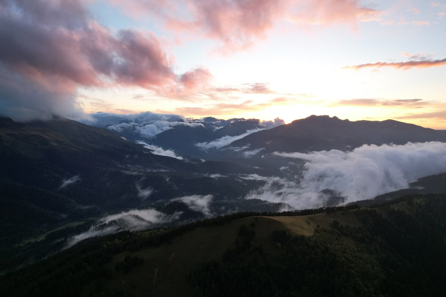 Photo #13233732