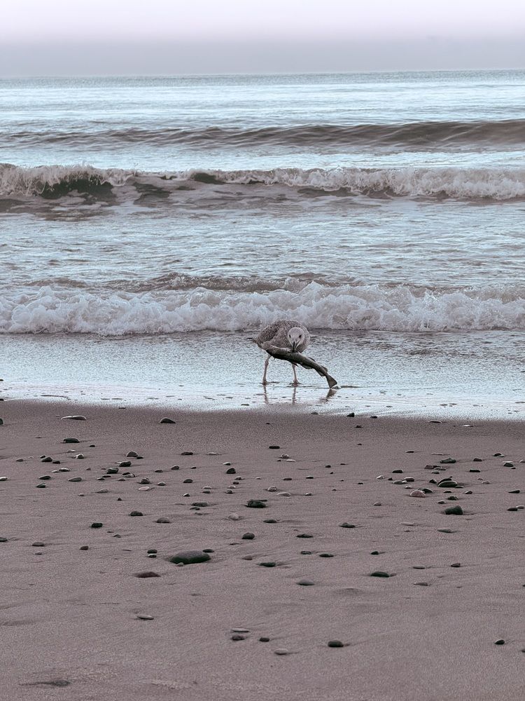 Photograph by Лидия Готовец