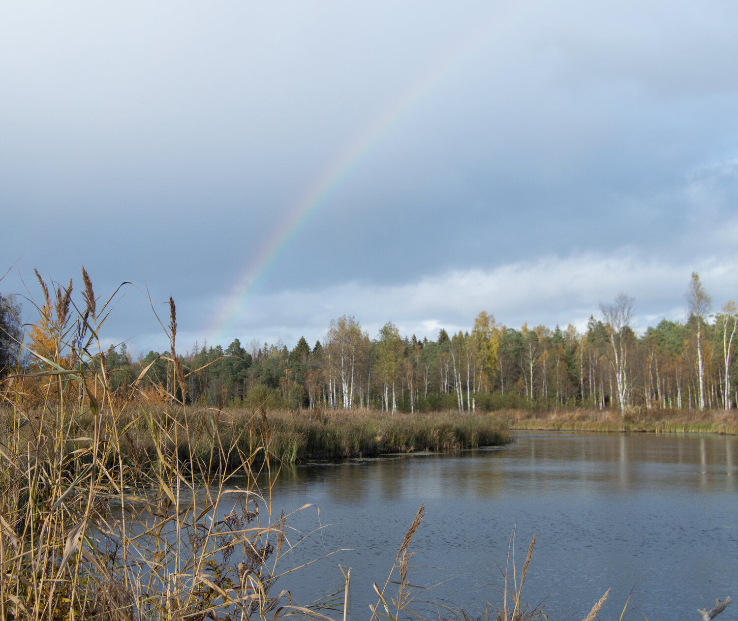 Photo #13233734