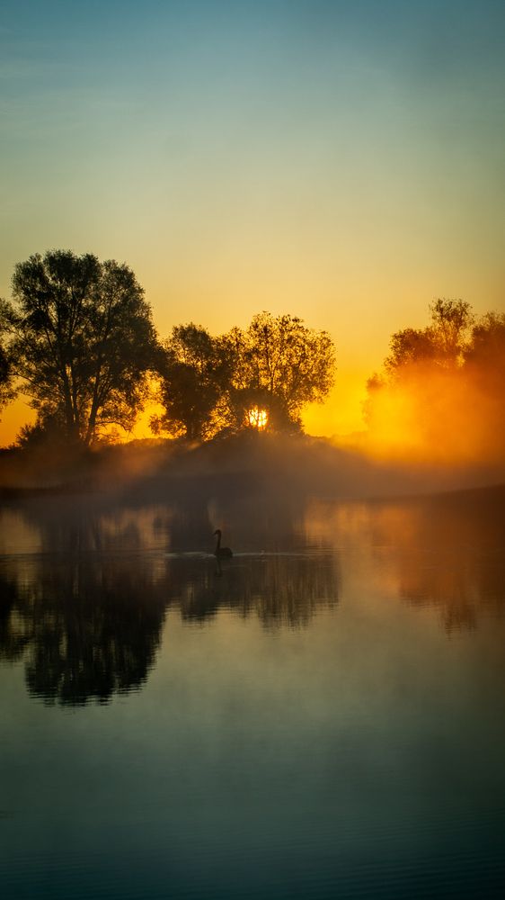 Фотография автора Геннадий Ломеко