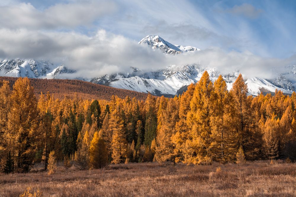 Там, за облаками...