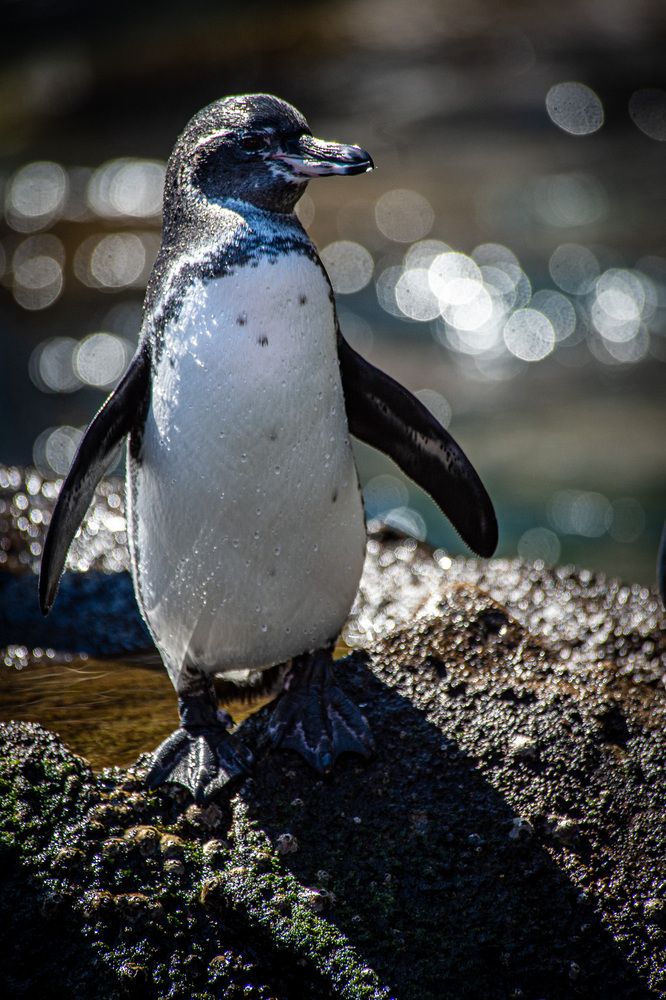 Photograph by Дмитрий Плотников