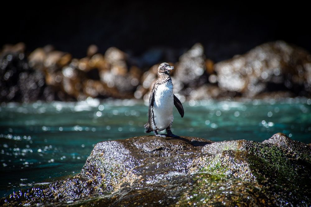 Photograph by Дмитрий Плотников