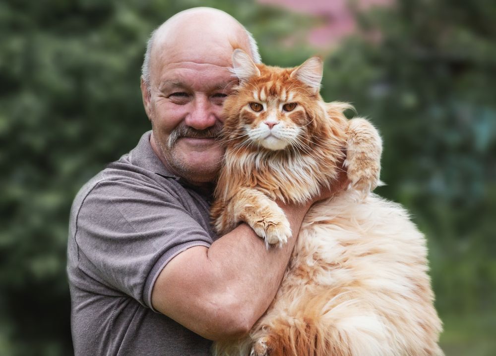 Фотография автора Олег Чернышев