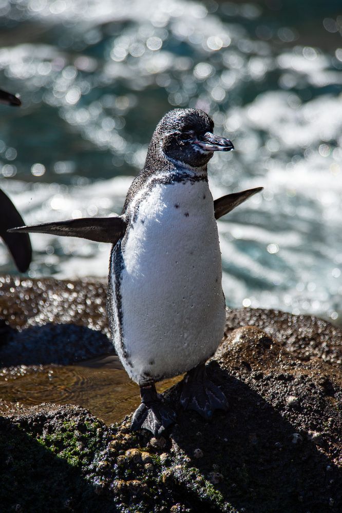 Photograph by Дмитрий Плотников