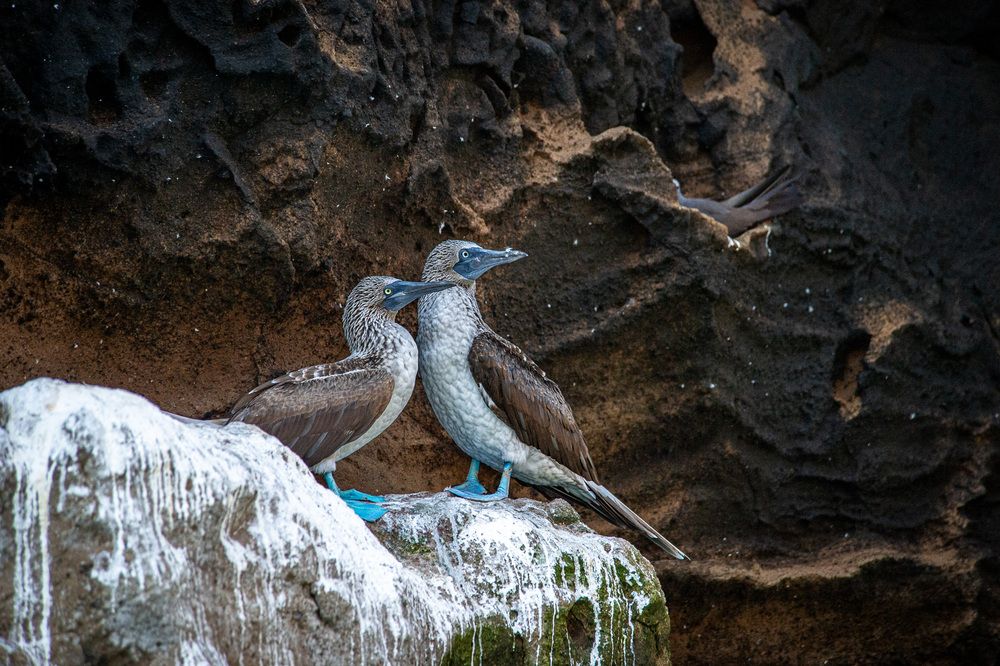 Photograph by Дмитрий Плотников