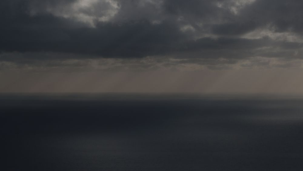 Photo #13233901