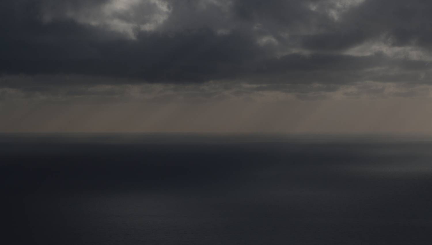 Photo #13233901