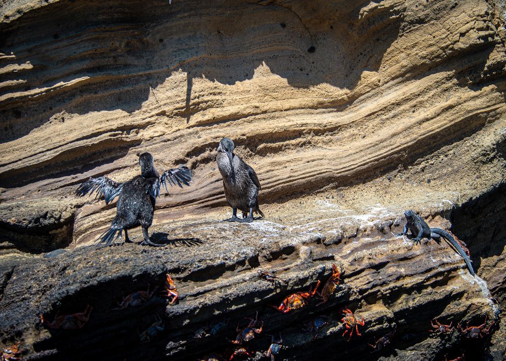 Photograph by Дмитрий Плотников