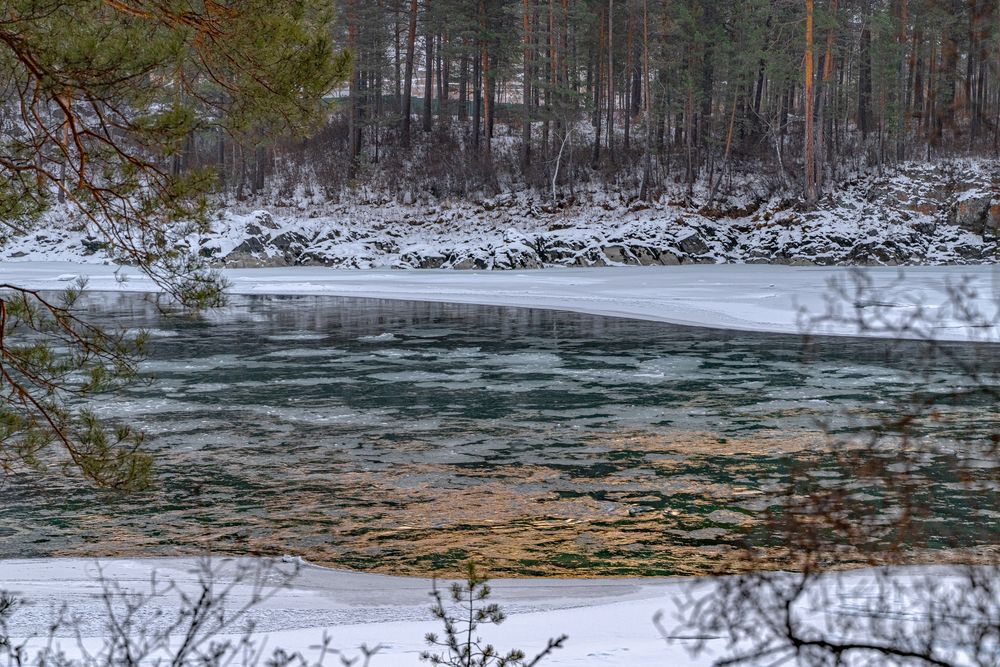 Photograph by Ирина Рыжова